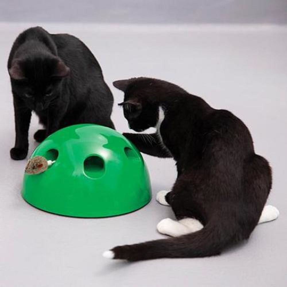 Interaktív, készségfejlesztő egérfogó játék macskáknak – hangeffektekkel (BBM) (3)