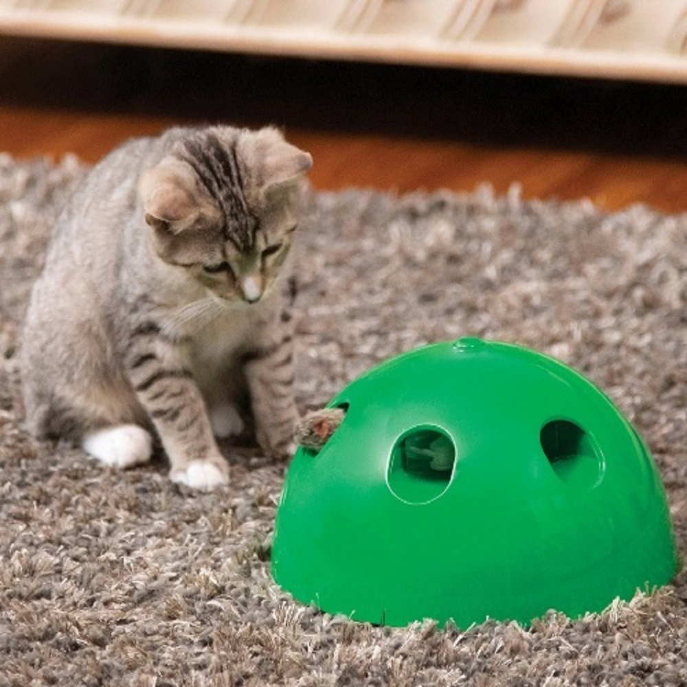 Interaktív, készségfejlesztő egérfogó játék macskáknak – hangeffektekkel (BBM) (6)