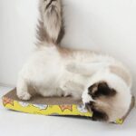 2in1 macskaágy és kaparó kartonból ajándék macskamentával (BB5671) (7)