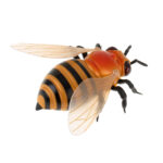 RC távirányítós méhecske