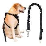Hámhoz csatlakoztatható biztonsági öv kutyáknak (BB6230) 3