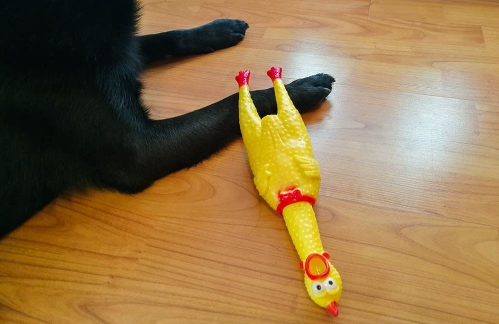 Sípoló gumi játékcsirke kutyáknak – 30cm x 8cm x 4cm, sárga színben (BB-5191) (8)