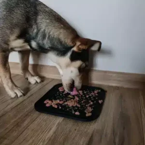 Stressz csökkentő, nyalogató szőnyeg háziállatoknak - érdes felülettel és spatulával (WNDR19378) - Image 7