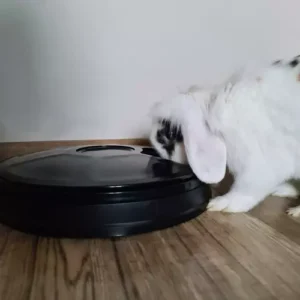 Automata étel adagoló kutyáknak és macskáknak – 6 rekesszel, időzítővel, hangjelzéssel (WNDR20759) - Image 5