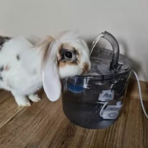 Automata vízadagoló kisállatoknak – itató csap szűrőrendszerrel, 2L (WNDR20700) - Image 4