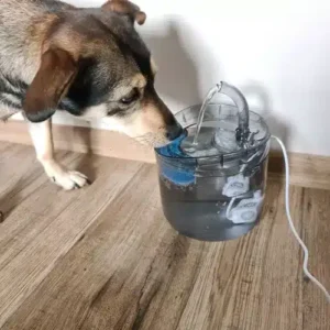 Automata vízadagoló kisállatoknak – itató csap szűrőrendszerrel, 2L (WNDR20700) - Image 7