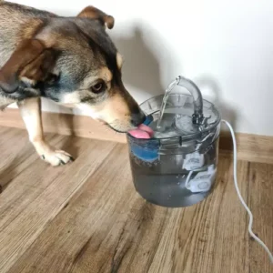 Automata vízadagoló kisállatoknak – itató csap szűrőrendszerrel, 2L (WNDR20700) - Image 9