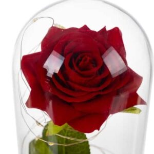 Dekor lámpa díszdobozban - LED-es rózsa üvegben (WNDR21619) - Image 7