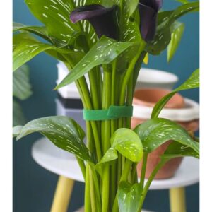 Tépőzáras szalag növények megtámasztására és kábelek rendszerezésére – 1 x 500 cm (WNDR25362) - Image 15