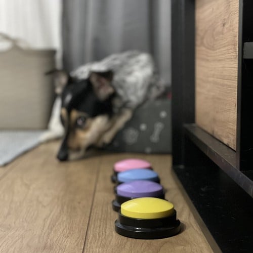 Kutyakiképző gombok – tanítsd meg a kutyádat kommunikálni! (WNDR24615) - Image 8