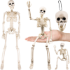 RUHHY 40 cm-es csontváz dekoráció – élethű, felakasztható halloween dísz (WNDR26027)
